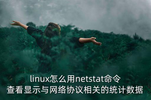 linux怎么用netstat命令查看顯示與網(wǎng)絡(luò)協(xié)議相關(guān)的統(tǒng)計(jì)數(shù)據(jù)