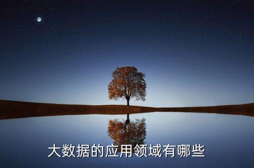 大數(shù)據(jù)的應用領域有哪些