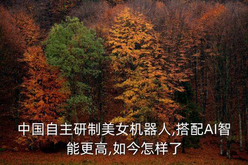 中國自主研制美女機器人,搭配AI智能更高,如今怎樣了