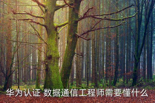 數(shù)據(jù)通信基礎(chǔ),第二章數(shù)據(jù)通信基礎(chǔ)
