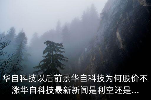 華自科技以后前景華自科技為何股價(jià)不漲華自科技最新新聞是利空還是...
