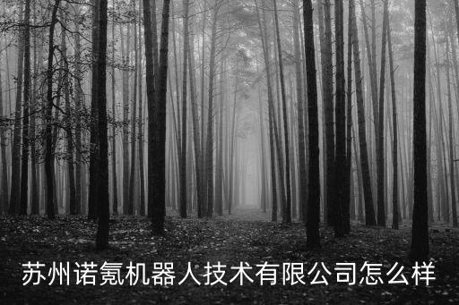 蘇州諾氪機(jī)器人技術(shù)有限公司怎么樣