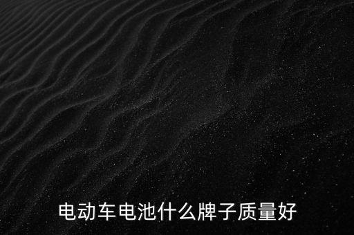 電動車電池什么牌子質(zhì)量好