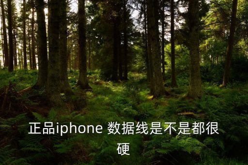 新買的蘋果數(shù)據(jù)線很硬,蘋果數(shù)據(jù)線有必要買原裝嗎