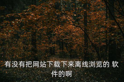 有沒有把網(wǎng)站下載下來離線瀏覽的 軟件的啊