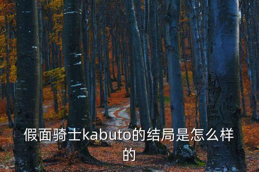 clockup,假面騎士thebuto的結(jié)局是怎么樣的?