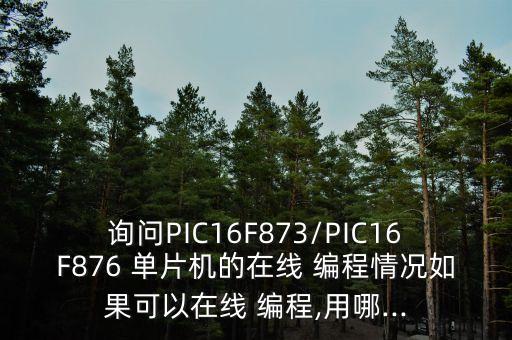 單片機編程器,松下單片機編程器