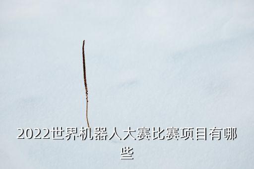 2022世界機(jī)器人大賽比賽項(xiàng)目有哪些