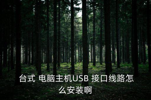  臺式 電腦主機USB 接口線路怎么安裝啊