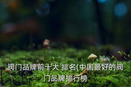 自動(dòng)化球閥設(shè)備廠家排名