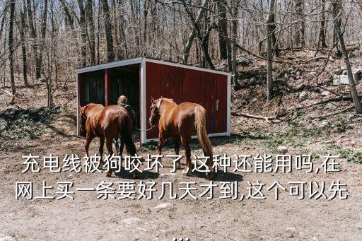 充電線被狗咬壞了,這種還能用嗎,在網(wǎng)上買一條要好幾天才到,這個可以先...
