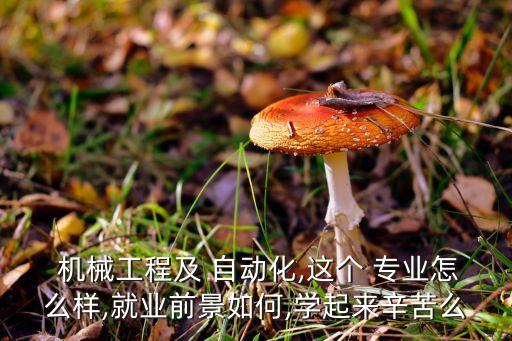  機械工程及 自動化,這個 專業(yè)怎么樣,就業(yè)前景如何,學起來辛苦么