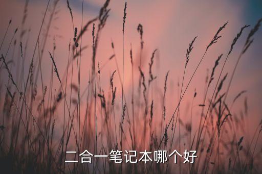 二合一筆記本哪個好