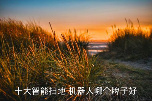 十大智能掃地 機(jī)器人哪個牌子好