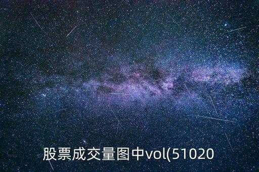 股票成交量圖中vol(51020