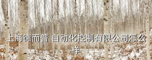 上海德而普 自動化控制有限公司怎么樣
