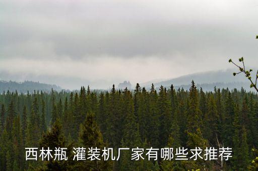 西林瓶 灌裝機(jī)廠(chǎng)家有哪些求推薦