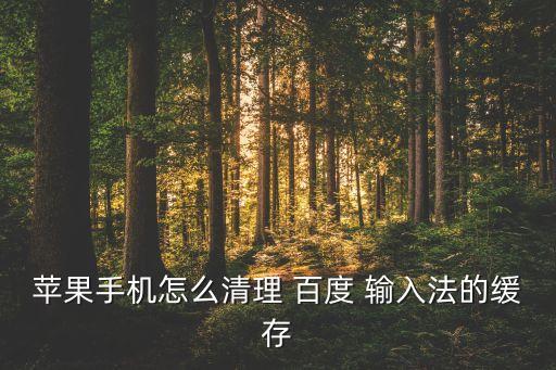蘋果手機(jī)怎么清理 百度 輸入法的緩存