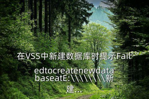 vss開通數(shù)據(jù),什么是完整vss備份?