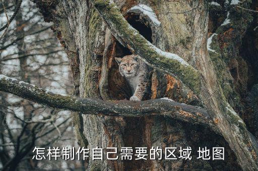 地圖編輯,科沃斯掃地機器人地圖編輯