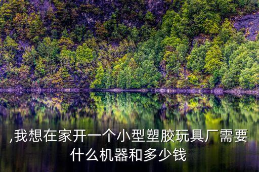 ,我想在家開一個(gè)小型塑膠玩具廠需要什么機(jī)器和多少錢