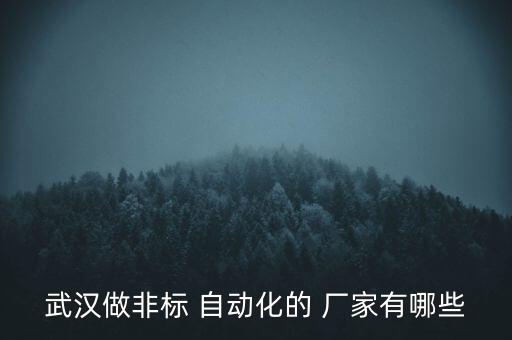 武漢做非標 自動化的 廠家有哪些
