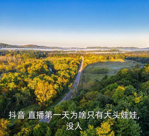 抖音 直播第一天為啥只有大頭娃娃,沒人