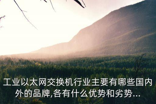 工業(yè)以太網(wǎng)交換機(jī)行業(yè)主要有哪些國(guó)內(nèi)外的品牌,各有什么優(yōu)勢(shì)和劣勢(shì)...