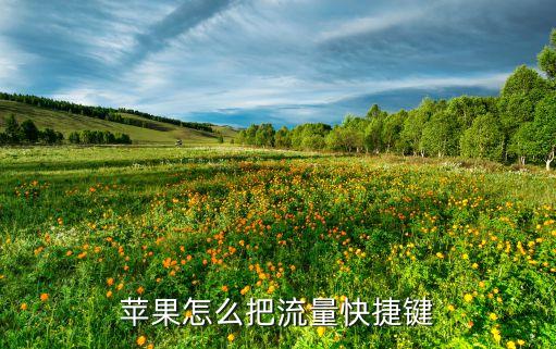 蘋果怎么把流量快捷鍵