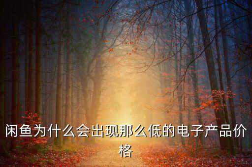 二手電子自動化設(shè)備報價,閑魚低價電子設(shè)備可信嗎?