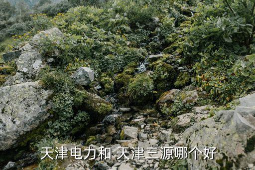 天津電氣自動(dòng)化有限公司招聘,天津一重電氣自動(dòng)化有限公司是國企么