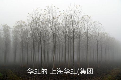 上海公共研發(fā)平臺,公共研發(fā)平臺是什么意思