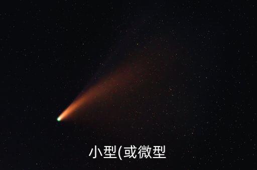 小型(或微型