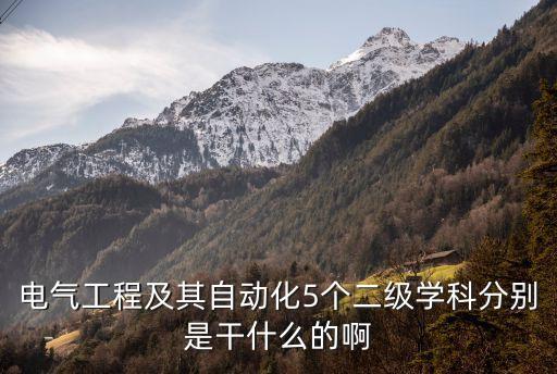 二級電氣自動化哪個專業(yè)好,電氣工程及其自動化有哪些專業(yè)?