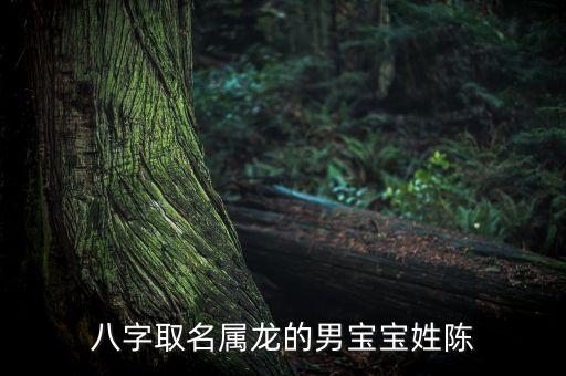 八字取名屬龍的男寶寶姓陳