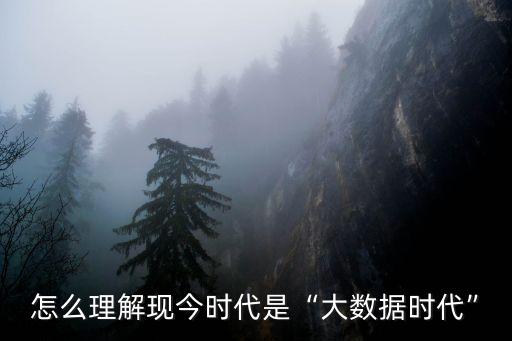 數(shù)據(jù)時代是什么意思,大數(shù)據(jù)時代的意思