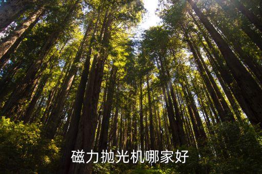 磁力拋光機哪家好