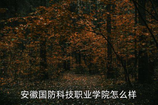 安徽國防科技職業(yè)學院怎么樣