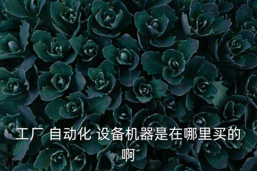 工廠 自動(dòng)化 設(shè)備機(jī)器是在哪里買的啊