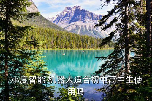  小度智能 機(jī)器人適合初中高中生使用嗎