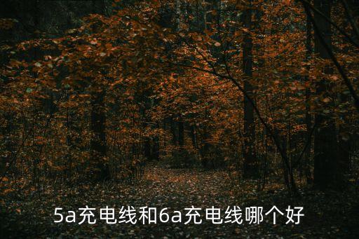 5a充電線和6a充電線哪個好