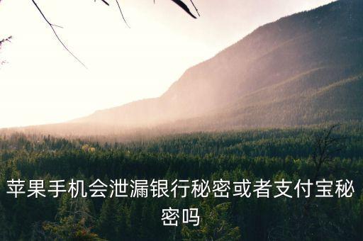 蘋果手機會泄漏銀行秘密或者支付寶秘密嗎