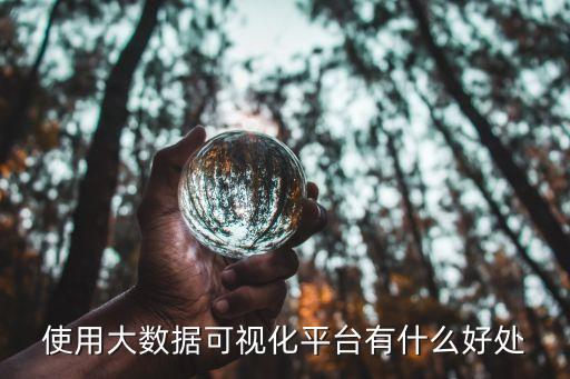 使用大數(shù)據(jù)可視化平臺有什么好處