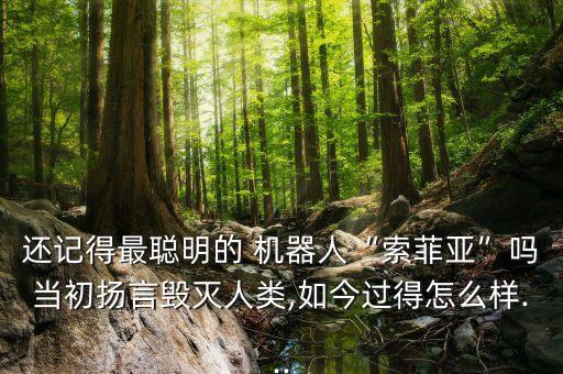最好的人形機(jī)器人,中國最好的人形機(jī)器人公司是哪家