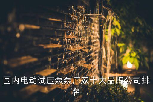 國內電動試壓泵泵廠家十大品牌公司排名