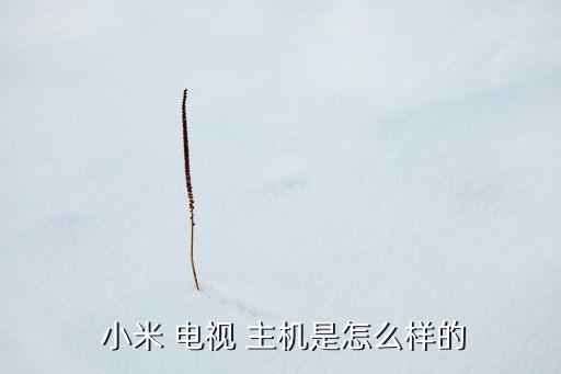 小米電視主機(jī)