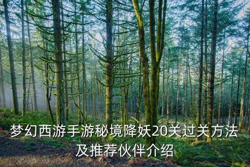 夢(mèng)幻西游手游秘境降妖20關(guān)過(guò)關(guān)方法及推薦伙伴介紹