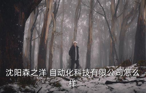 沈陽森之洋 自動化科技有限公司怎么樣