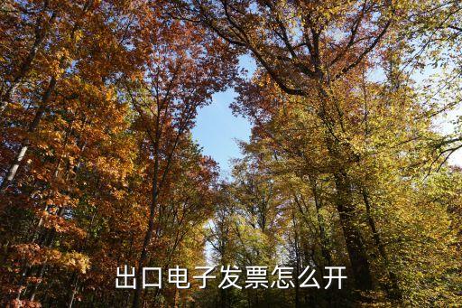 出口電子發(fā)票怎么開(kāi)