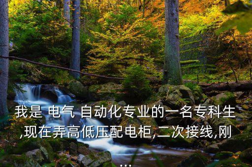 我是 電氣 自動(dòng)化專業(yè)的一名?？粕?現(xiàn)在弄高低壓配電柜,二次接線,剛...
